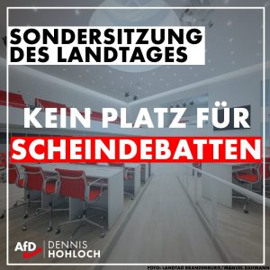 Kein Platz für Scheindebatten im Brandenburger Landtag