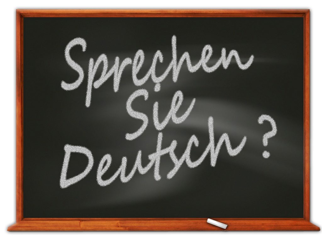 Die deutsche Muttersprache schützen