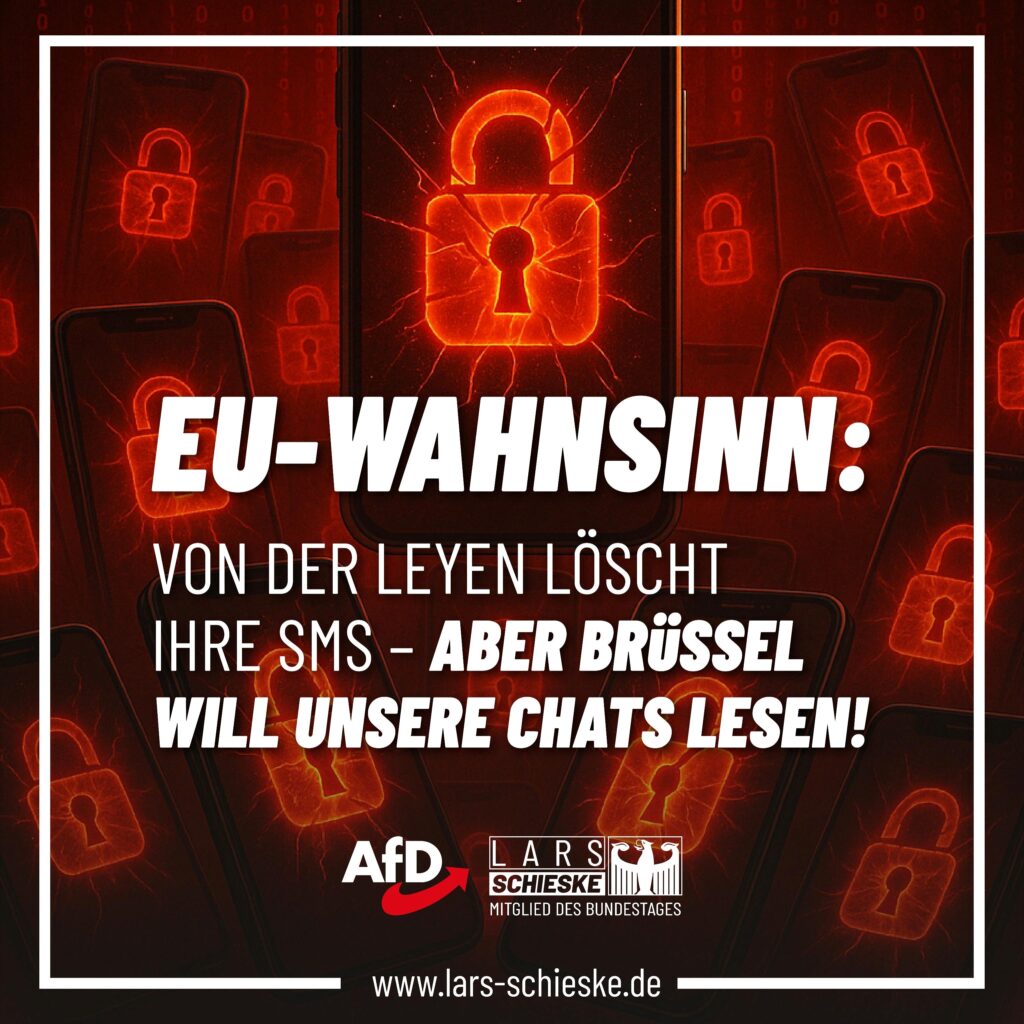 EU-Chatkontrolle: AfD warnt vor Totalüberwachung – Bundesregierung soll Veto einlegen