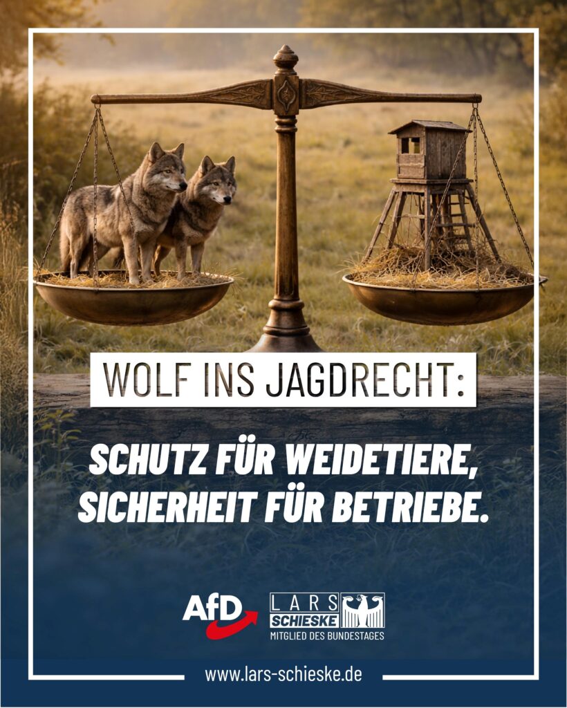 Wolfsproblematik endlich ernst nehmen – AfD wirkt, Regierung reagiert spät