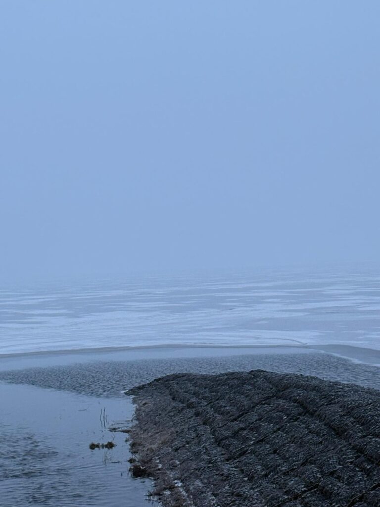 Zugefrorener Ostsee am 05.02.2026. Nur das Einlaufbecken ist eisfrei.