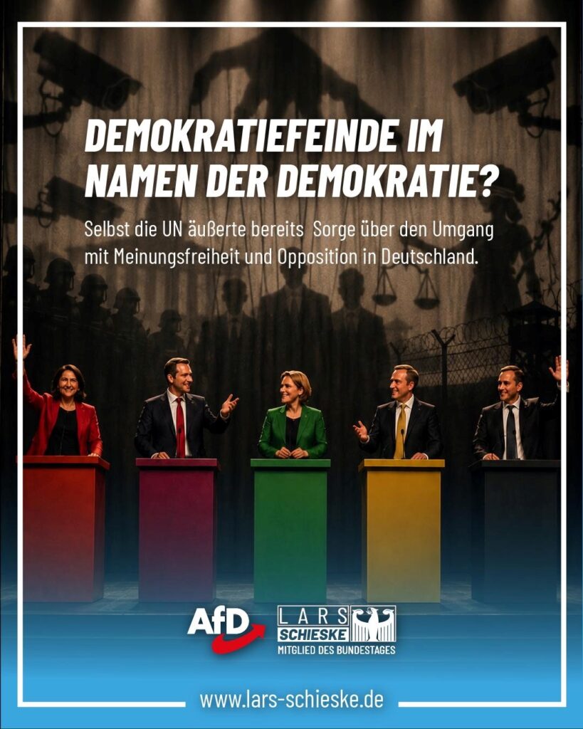 Wenn selbsternannte Demokratieretter die Demokratie beschädigen